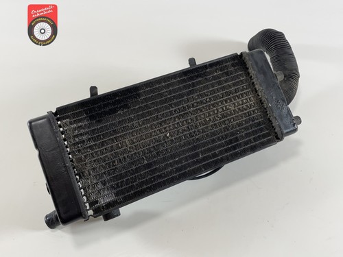 Honda 600 pc21 shadow - pc21,