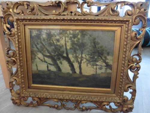 Paysage forêt cadre - de,
