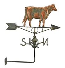 Une girouette en fer à fixer