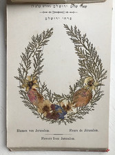 Herbier Fin XIXème Blumen For