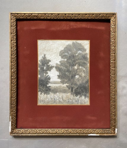 Paysage arboré dessin - arboré,,