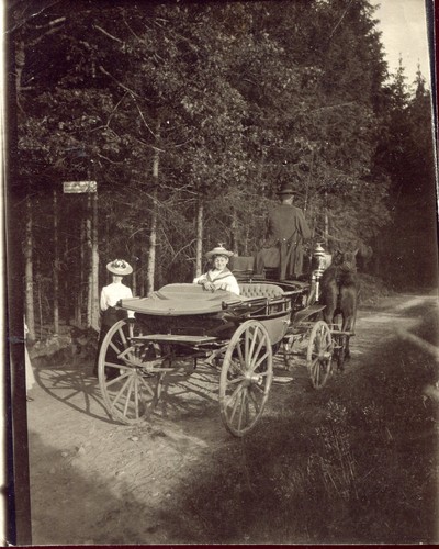 Photo ancienne attelage - ancienne,