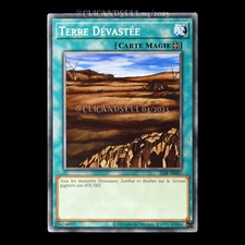 carte YU-GI-OH LOB-FR047 Terre