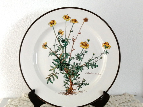 Rare grande assiette plate - assiette, 27