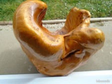 Sculpture africaine moisissure