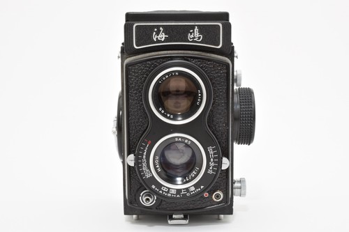 Almost mint seagull - [almost,