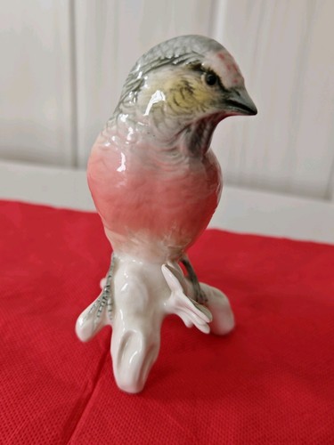 Oiseau porcelaine karl ens - ens,