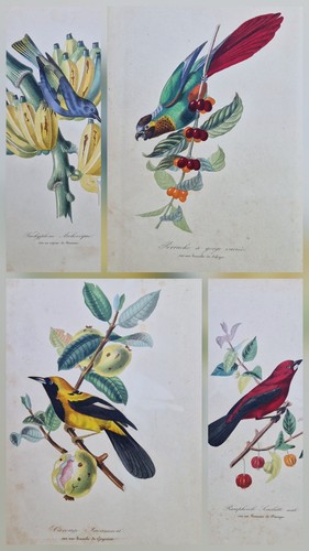 Gravures originales 1842 - , 4