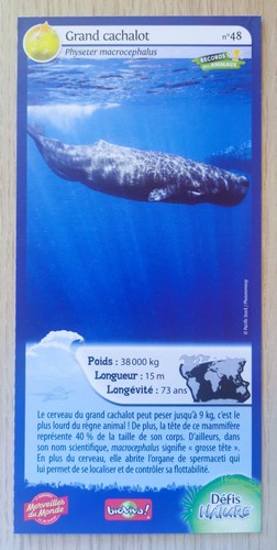 Carte merveilles monde - carte,