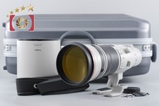 Canon EF 500mm f/4 L IS II USM