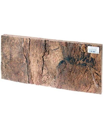 Paroi arriere liege terrarium - liege,
