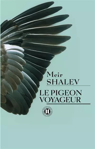Pigeon voyageur meir - le, voyageur,