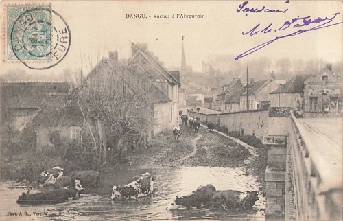 Dangu vaches à - 27., dangu.