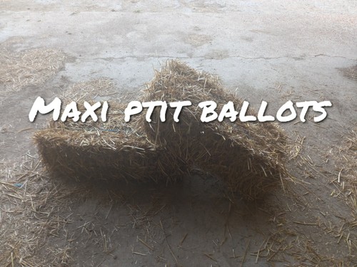 Petit ballot paille - de,