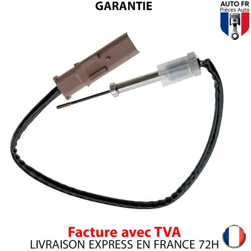 Capteur température gaz pour - capteur,