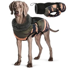 Manteau d'hiver pour Chien