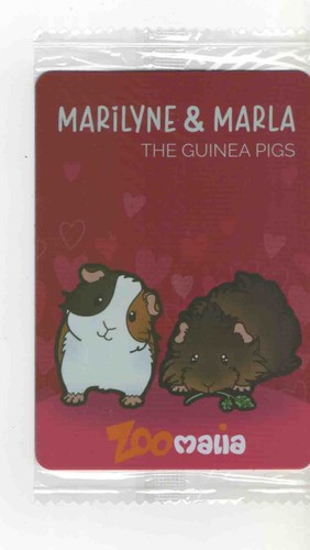Magnet aimant neuf cochon - magnet,