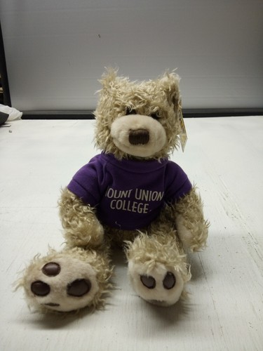 Mount union college mcm - union,