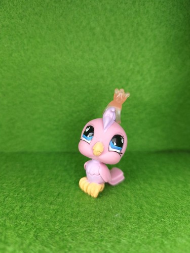 Lps littlest pet - pet, shop