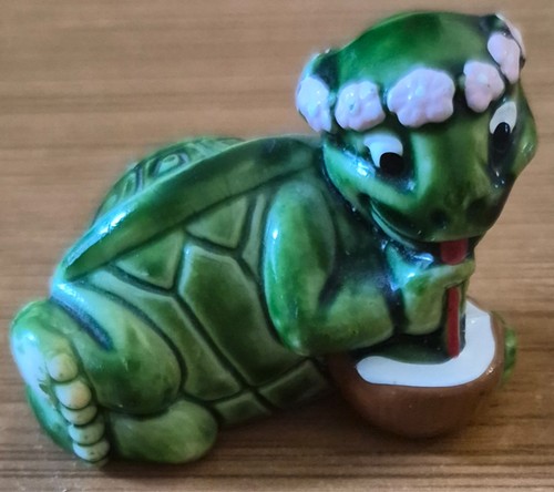 Tortue sirococo kinder - tortue,
