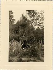 ANTIQUE PHOTO - VINTAGE SNAPSHOT - BASKETRY BASKET CRAFTSMAN GARDEN - GARDEN 1956