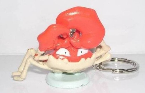 Pokemon krabboss - pokemon, (kingler)