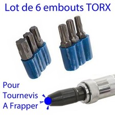 Embout pour tournevis à
