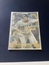 Shoten Suzuki Samurai Japan Dream Order Sjsp