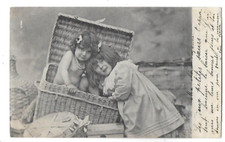 Old postcard portrait of girls in a wicker trunk 1902