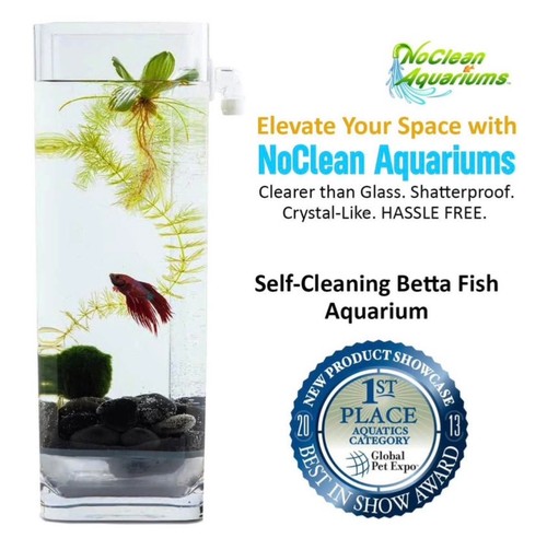 Clean aquariums light - aquariums, and