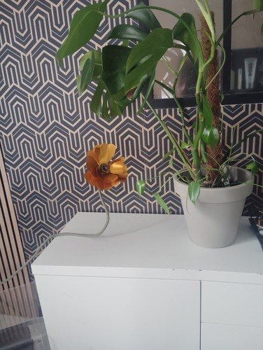 Lampe fleurs flexible - à,