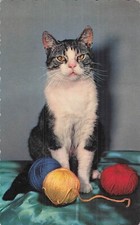 CP EDGES LACE CAT WOOL BALLS - 51771