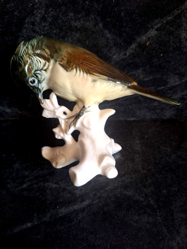 Karl ens oiseau en - -,