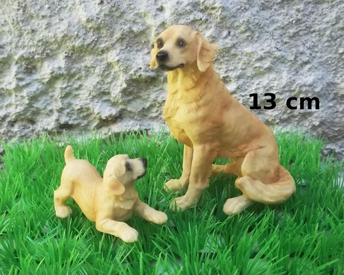 Magnifique maman chiot chien - magnifique, maman,chiot