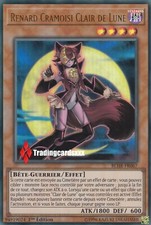 ♦Yu-Gi-Oh!♦ Renard