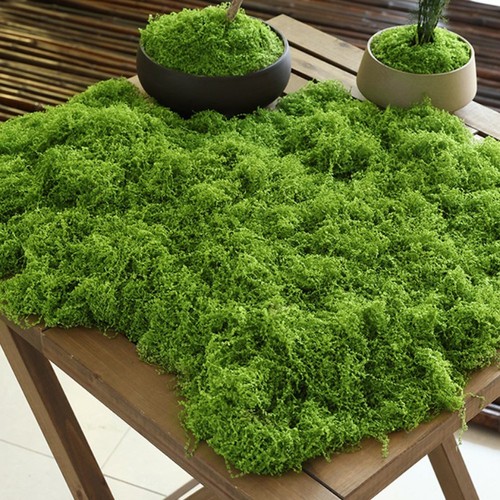 Tapis réaliste pour mousse