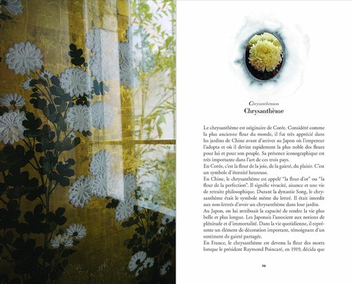 Herbier merveilleux notes - l'herbier,