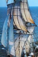 voilier bois Poster photo