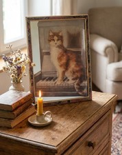 Tableau Miroir Vintage Chat