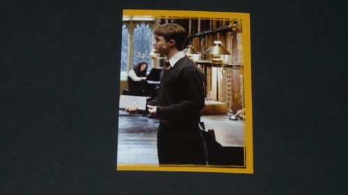 334 panini harry - panini, potter