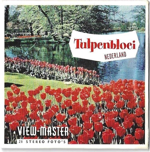 View master tulpenbloei 385 - master,