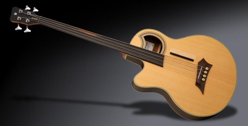 Warwick rockbass alien - warwick,