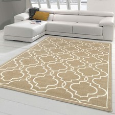 Tapis Oriental pour intérieur