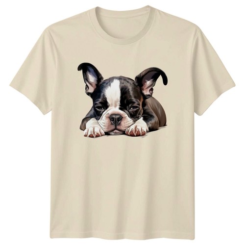 Boston terrier chiot - boston, chien