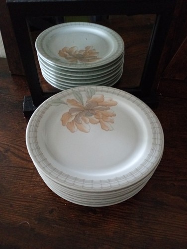 Assiettes porcelaine - 8,
