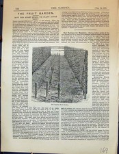 Old Antique Print Tall Espalier Fruit Garden 1878 Trellises Horticulture 19th
