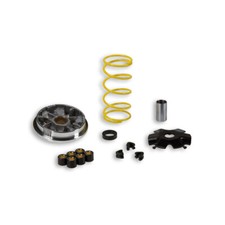 Variateur MALOSSI Multivar MHR