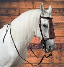 Bridle Vaquera En Cuir Avec