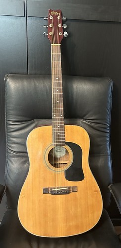 Vintage washburn 10n - vintage,