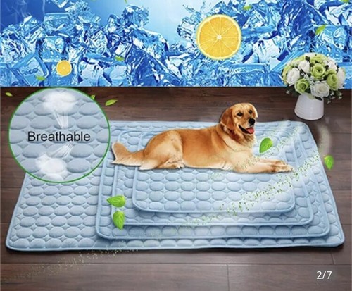 Coussin tapis lit - tapis,
